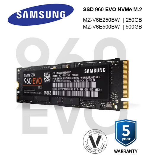 Samsung SSD 960 EVO NVMe M.2 Solid State Drives ( 250GB / 500GB )